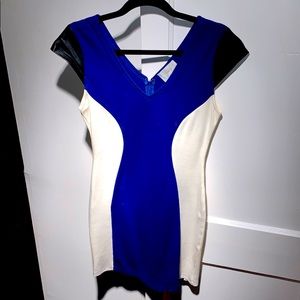 Figure Outling Color Block Dress
